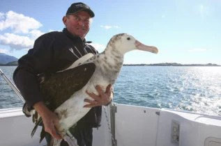 Albatross Encounter à Kaikoura